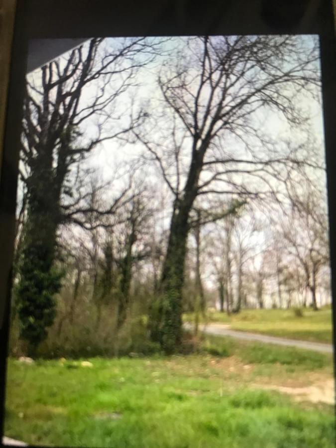 Chalet Lumineux Au Coeur Du Perigord Noir La Machome ภายนอก รูปภาพ